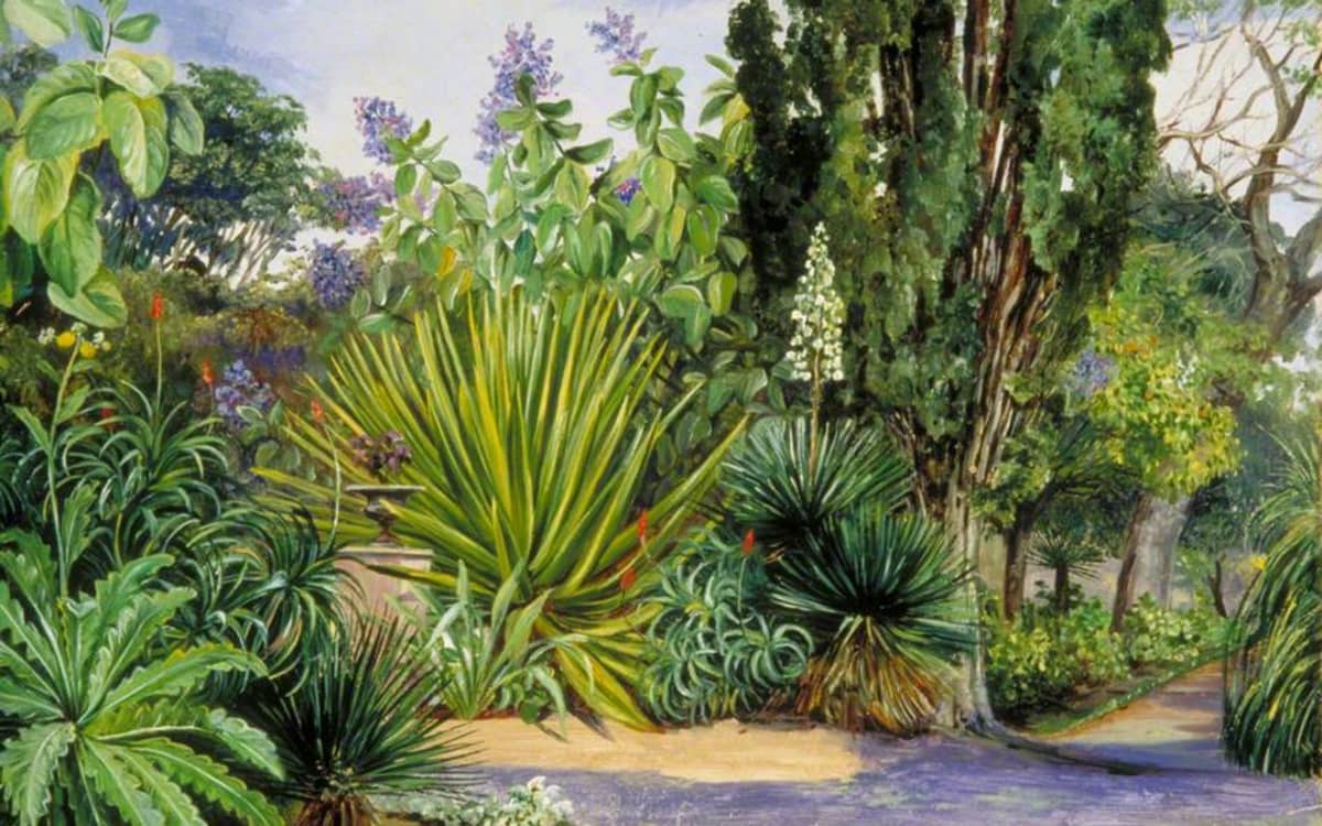 Illustration de l'événement : L'empire de la nature : une histoire des jardins botaniques coloniaux