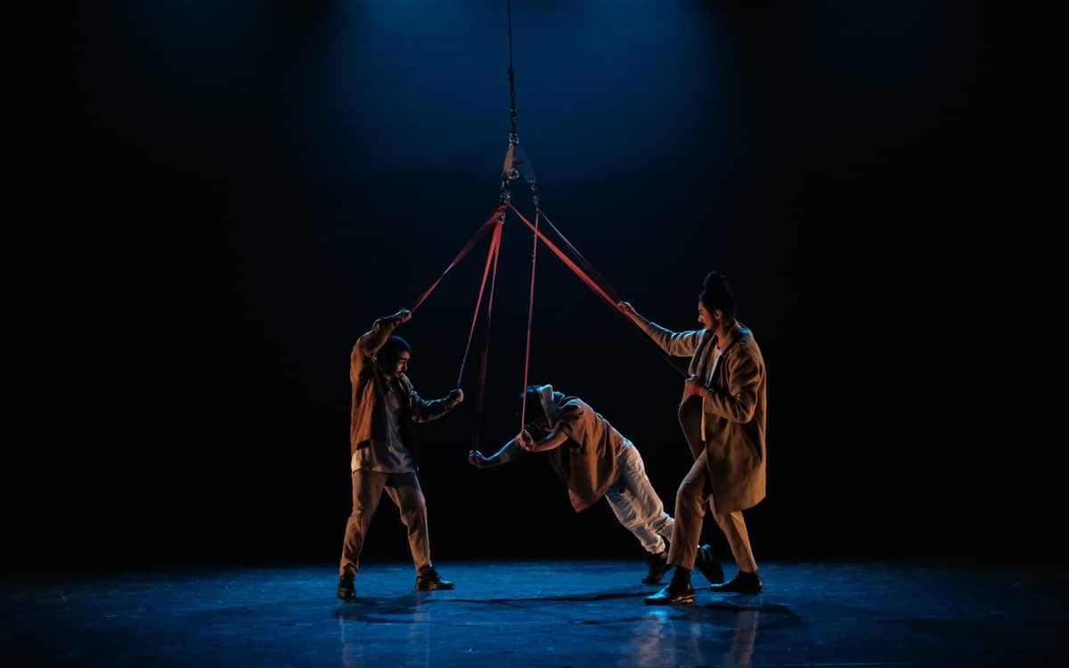 Illustration de l'événement : Un spectacle de sangles aériennes sous chapiteau