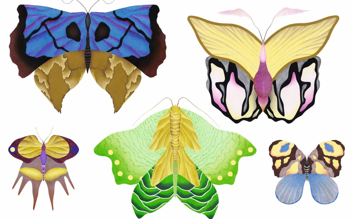 Illustration de l'événement : Atelier Papillons avec Juliette Binet