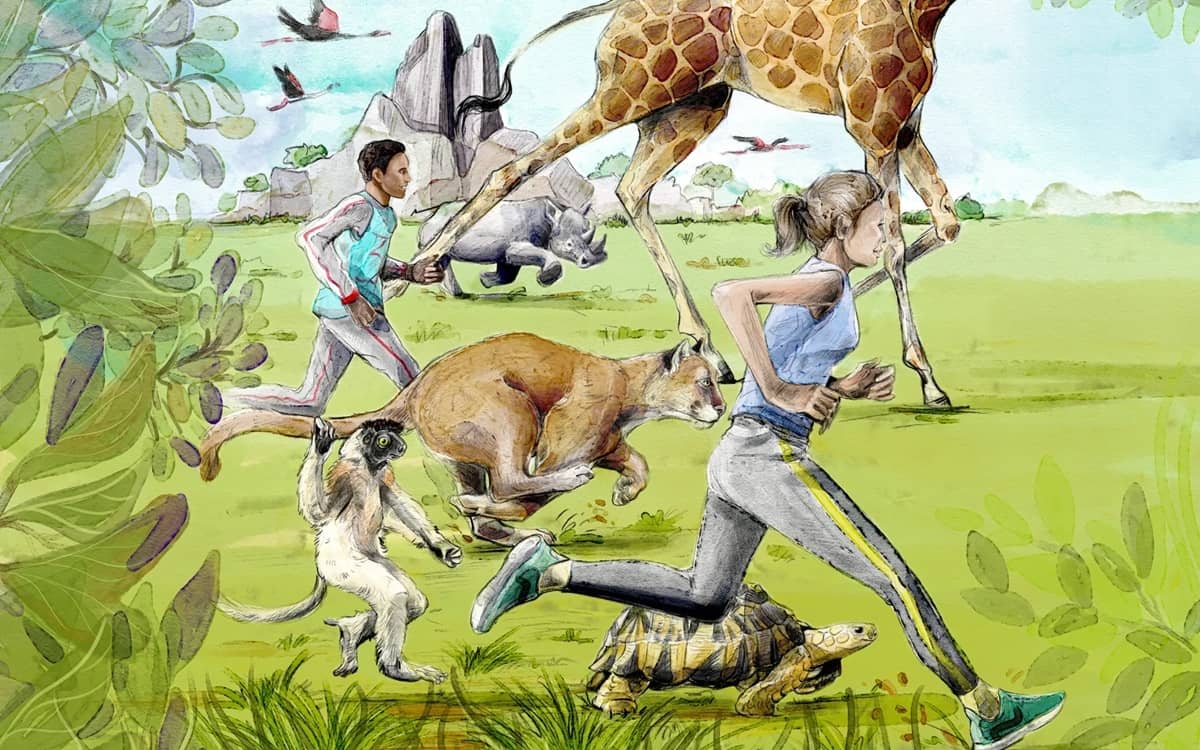 Illustration de l'événement : Paris Zoo Run 2026