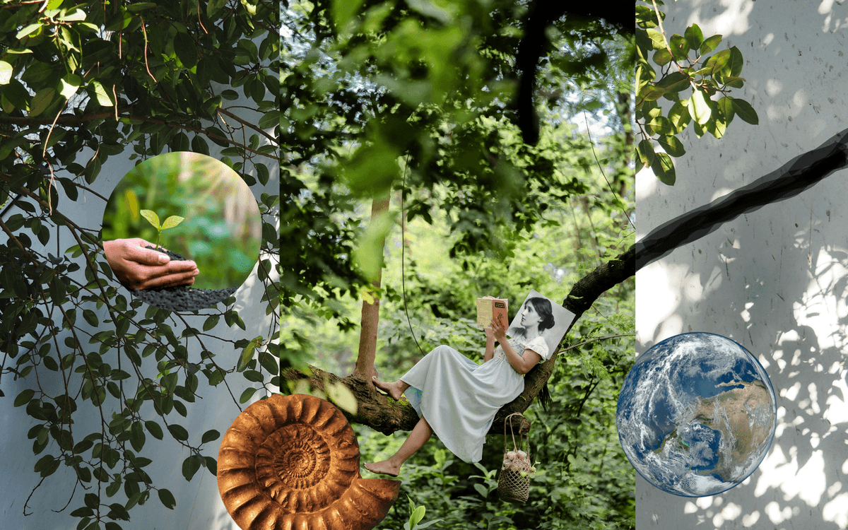 Illustration de l'événement : Le jardin de Virginia reçoit 13'infuz - association Urbanescence