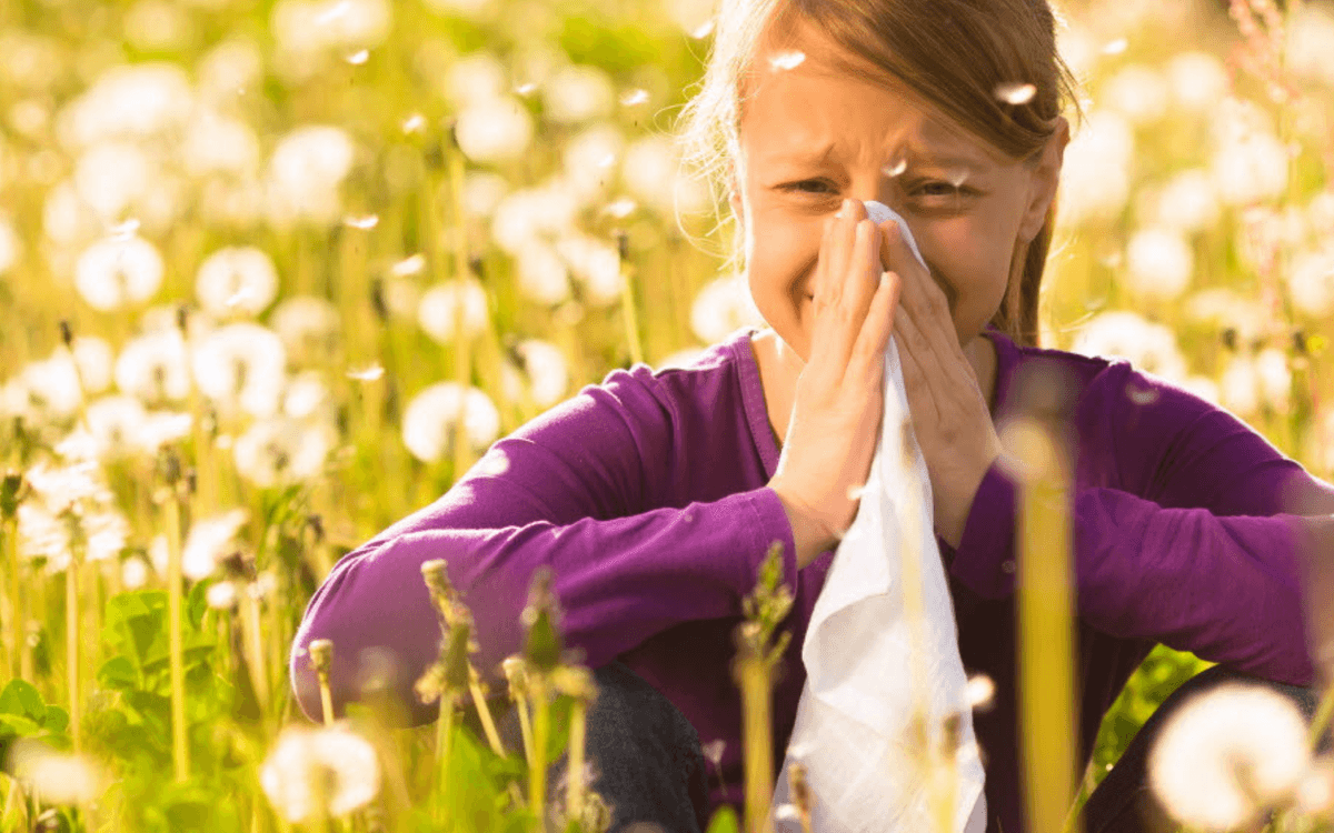 Illustration de l'événement : Atelier Pollen et Allergies - Automne de la Science