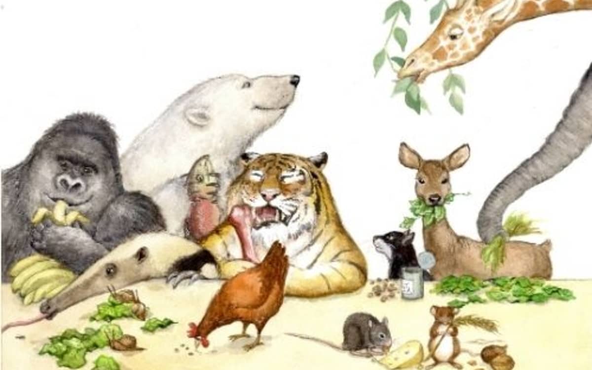Illustration de l'événement : "Bon appétit les animaux !" un album des éditions du Ricochet