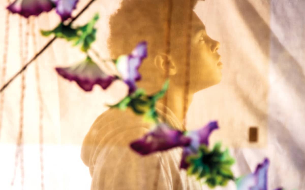 Illustration de l'événement : PRINTEMPS D 'AUTOMNE