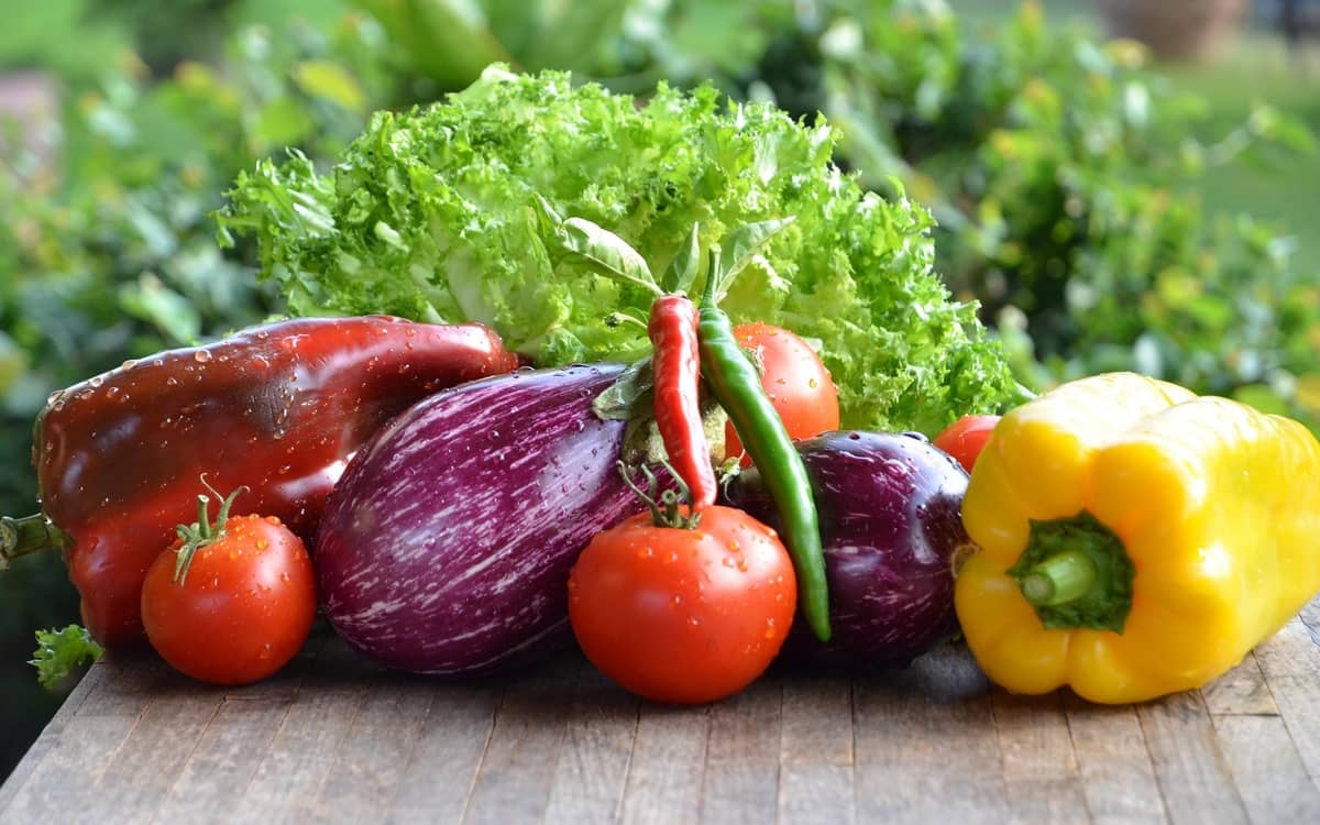 Illustration de l'événement : Pourquoi végétaliser son alimentation ?