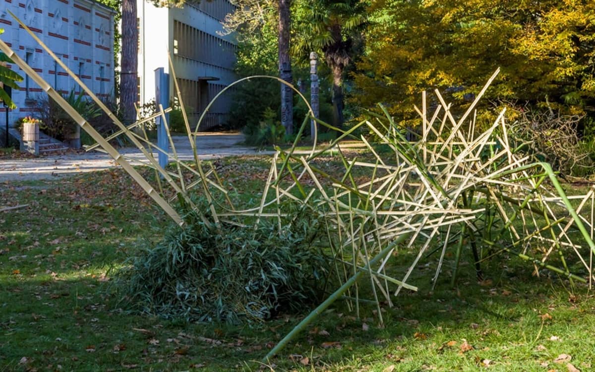 Illustration de l'événement : L'art floral japonais s'invite au jardin des serres d'Auteuil