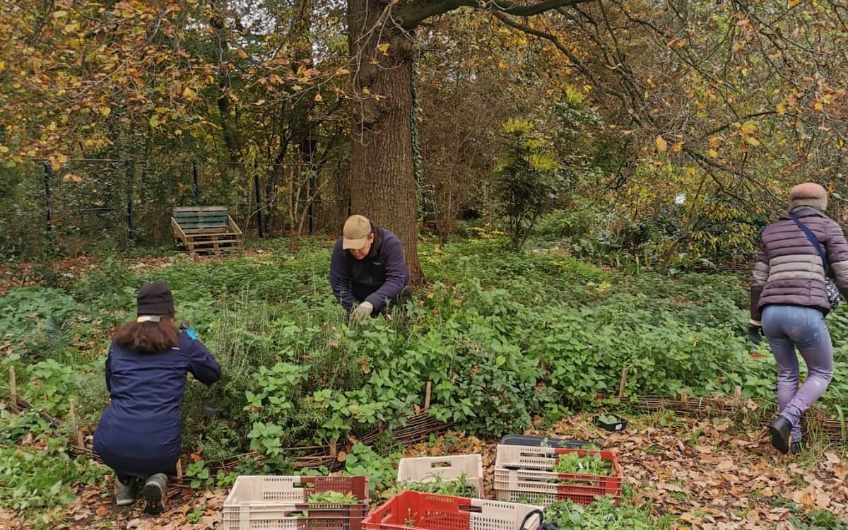 Illustration de l'événement : Chantier permaculture