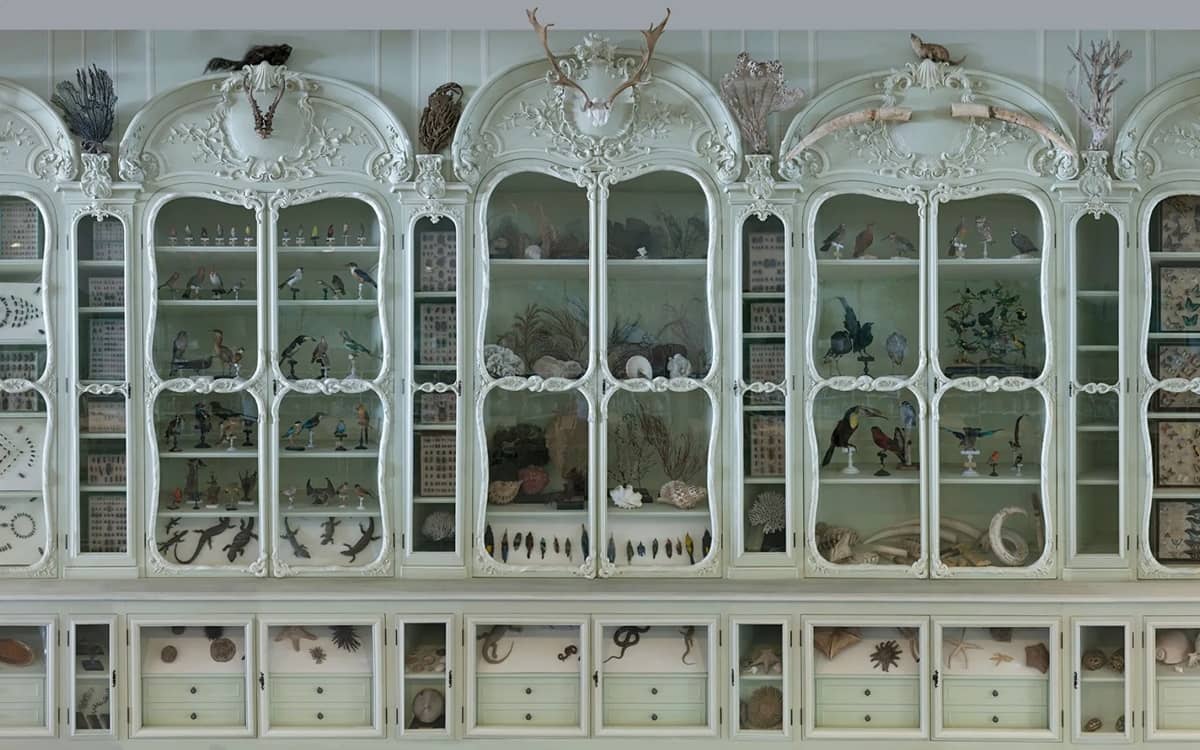 Illustration de l'événement : Journées européennes du patrimoine au Jardin des Plantes
