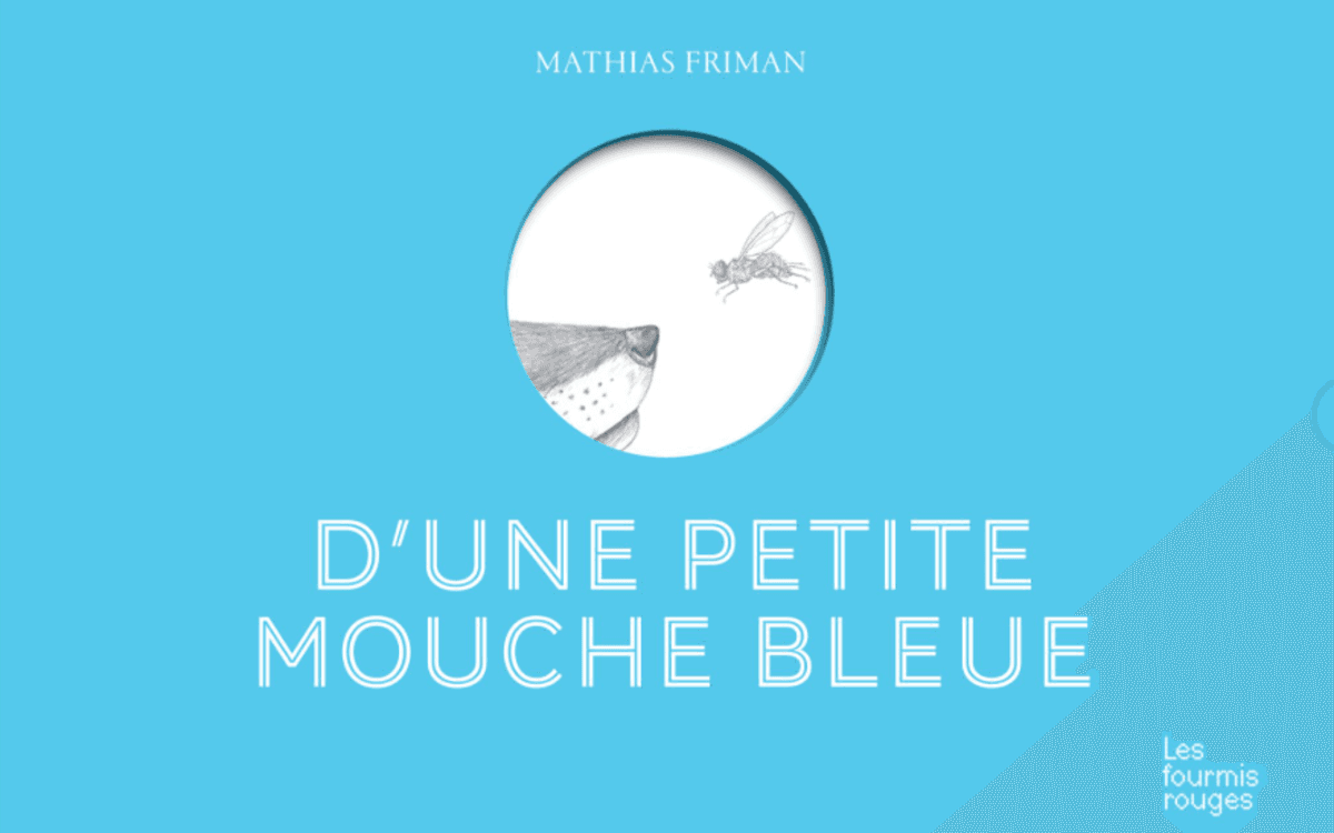 Illustration de l'événement : D'une petite mouche bleue