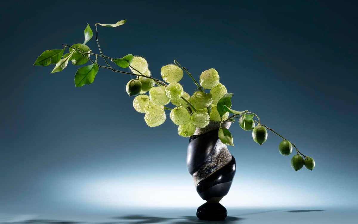 Illustration de l'événement : Atelier "Dans une composition, une fleur est une personne"
