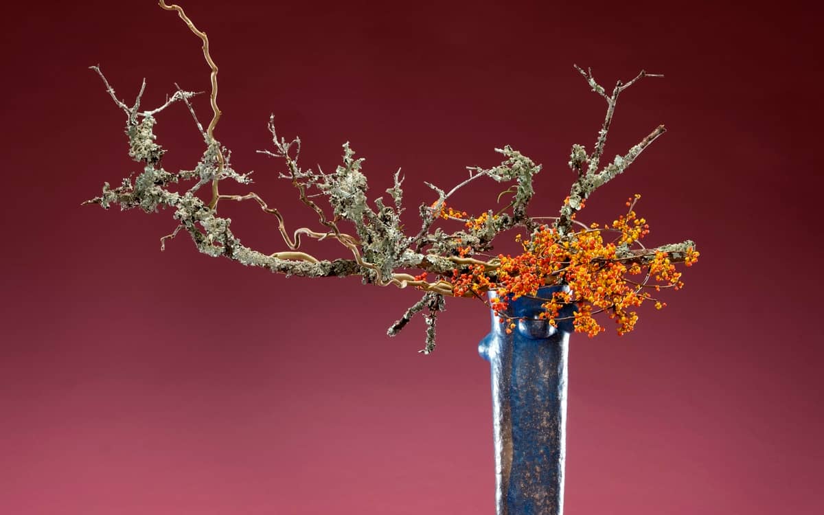 Illustration de l'événement : Expositions "Dans une composition, une fleur est une personne"