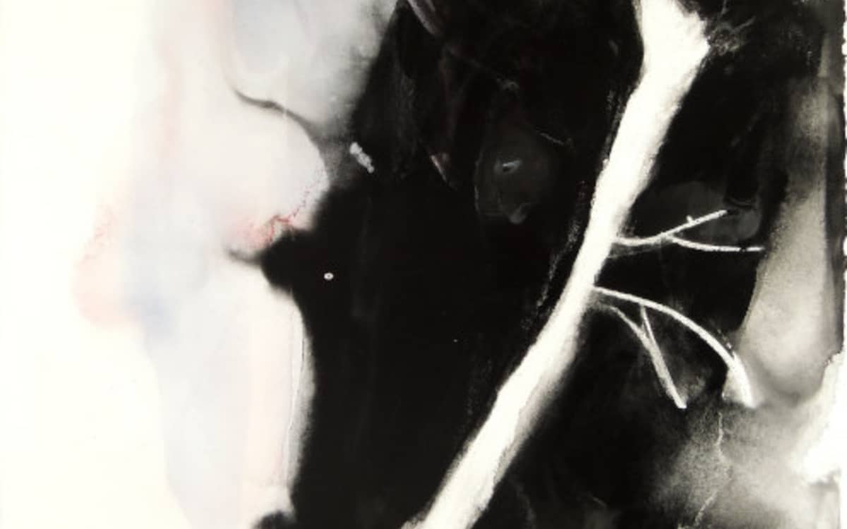 Illustration de l'événement : Patricia Erbelding - Endemic