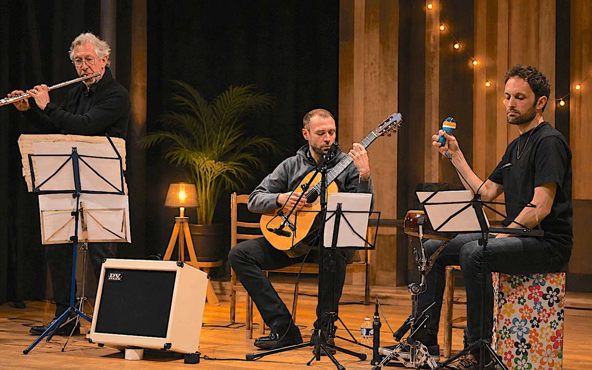 Illustration de l'événement : Concert du Trio Au Vivo