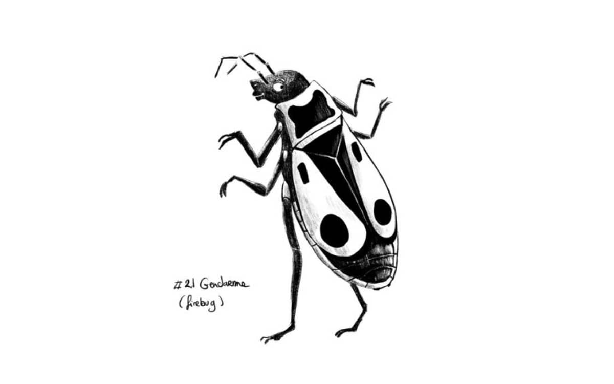 Illustration de l'événement : Atelier d'illustration avec Kei