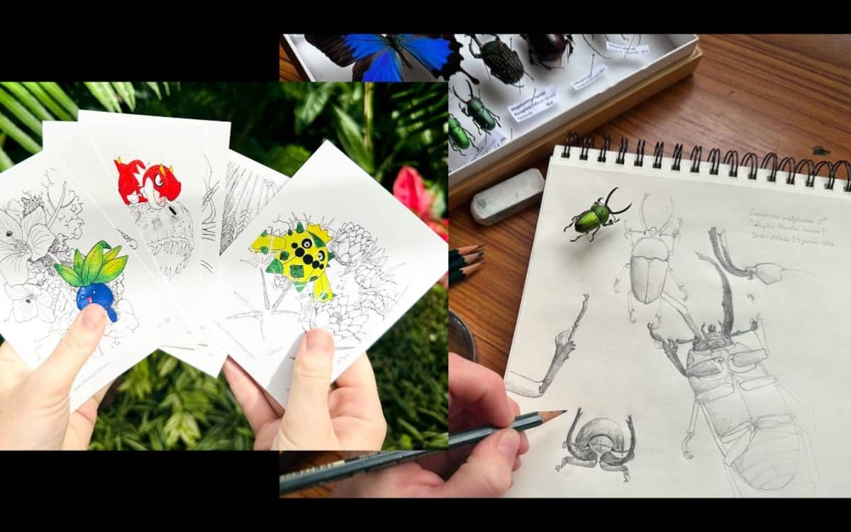 Illustration de l'événement : Pokémon et Biodiversité