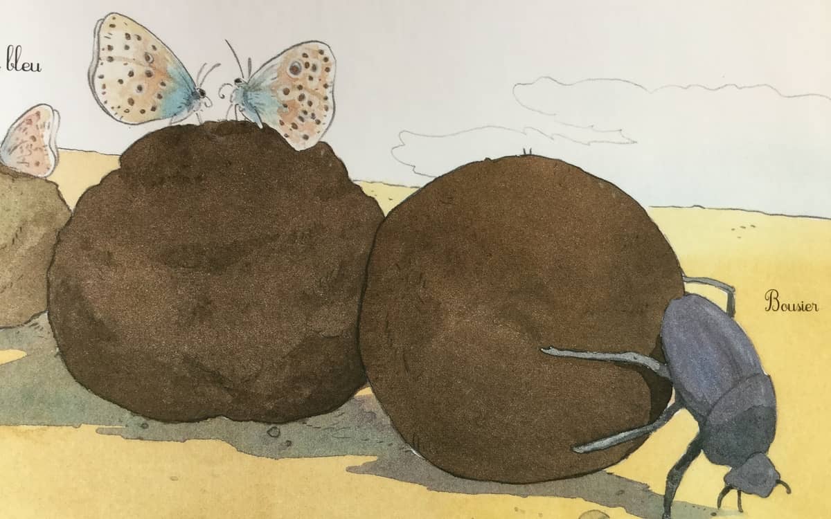 Illustration de l'événement : Et si nous retournions nos excréments à la terre ? Exploration écologique sur l'assainissement.
