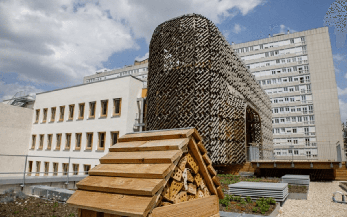 Illustration de l'événement : Métiers de Ville, métiers de vie : architecture, climat… rencontrez les professionnels qui transforment Paris