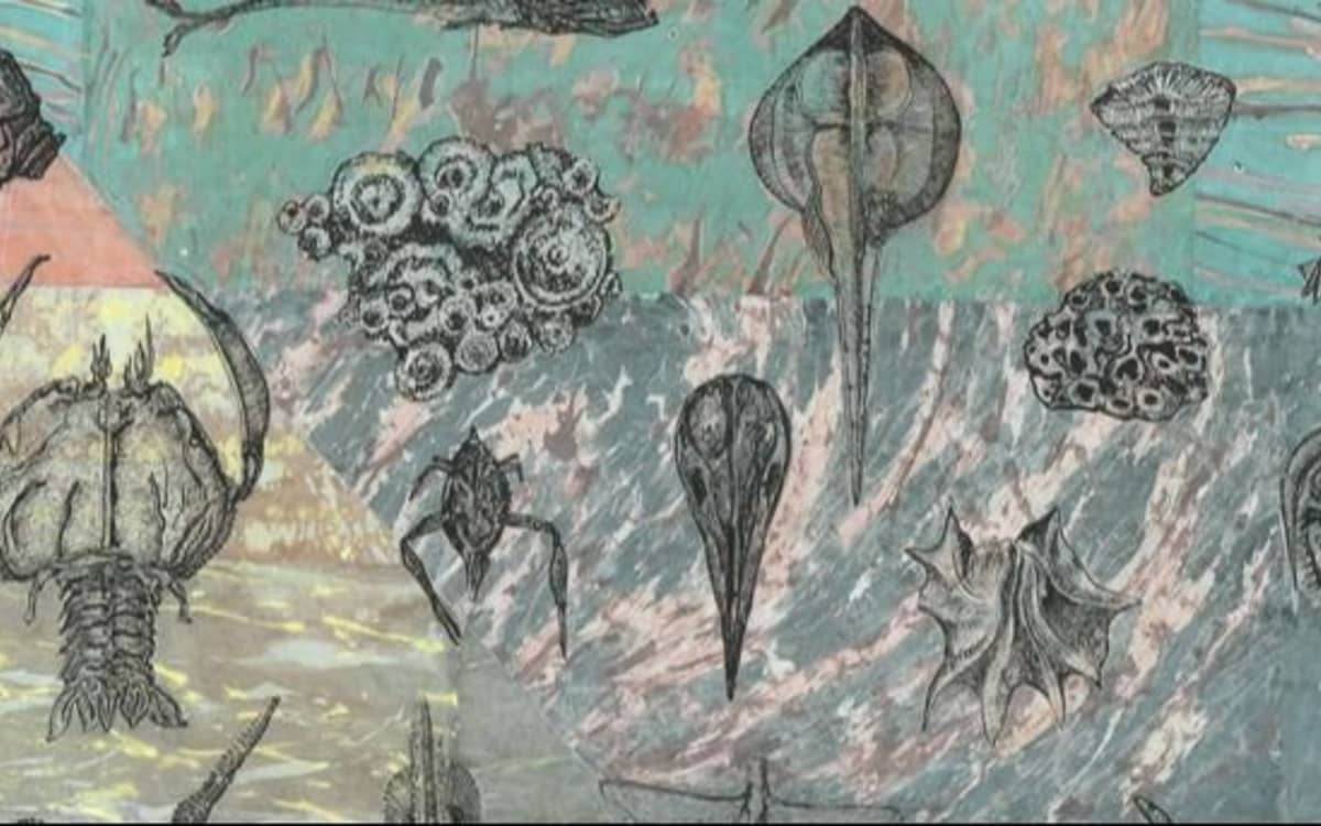 Illustration de l'événement : Conférences Art-Sciences : "Sur les chemins du vivant – Histoires naturelles du XXIe siècle"