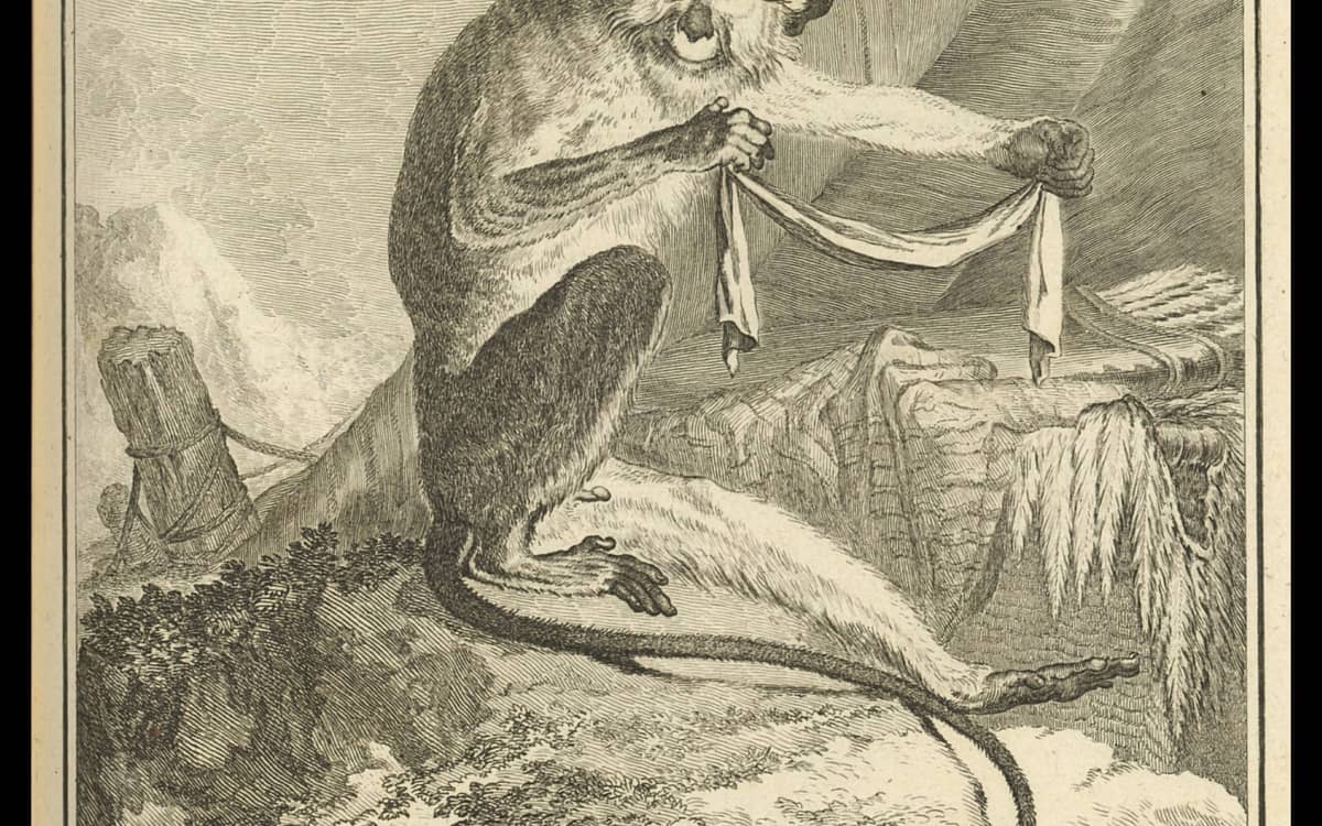 Illustration de l'événement : Conte tout petits : Animalia. Zimba et le bracelet perdu - Hôtel de la Marine
