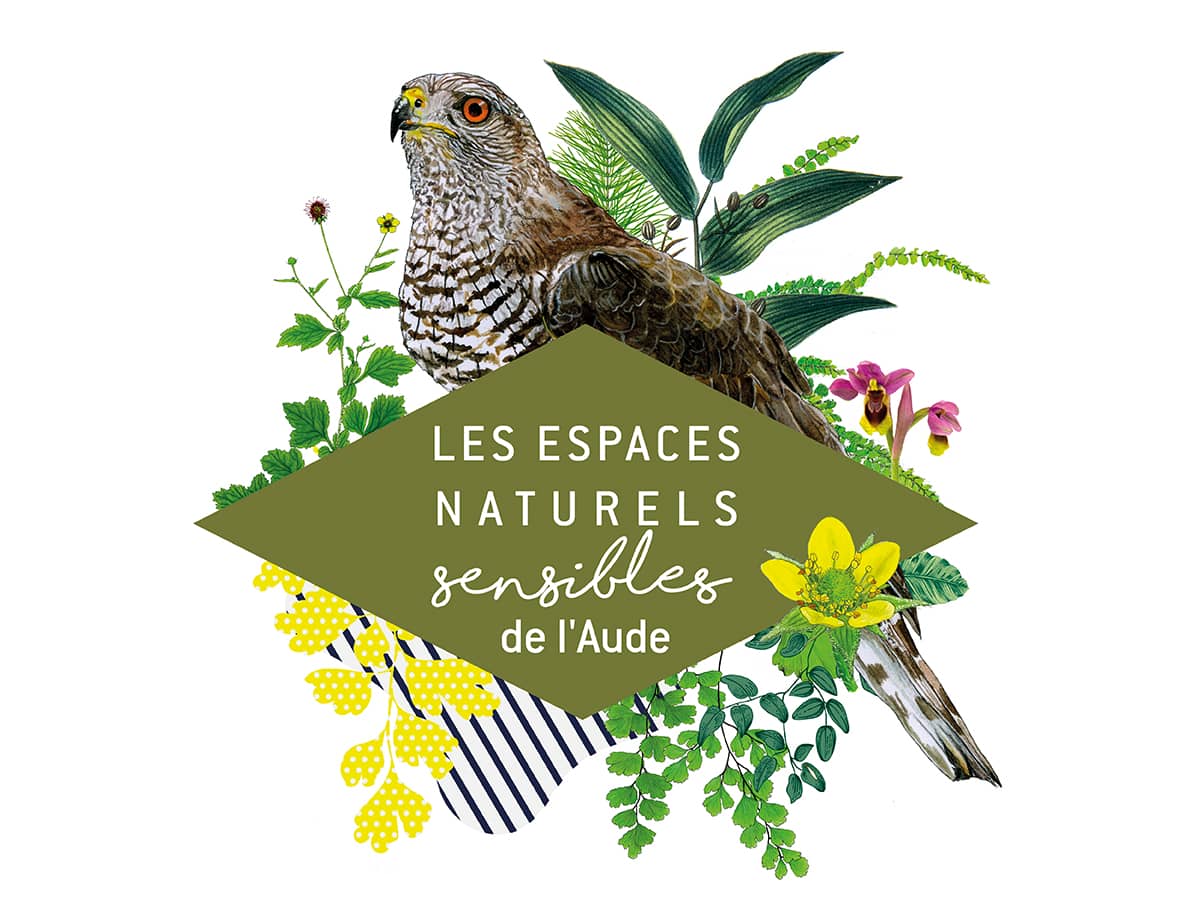 Illustration de l'événement : ENS - JOURNÉE EUROPÉENNE DES OISEAUX MIGRATEURS