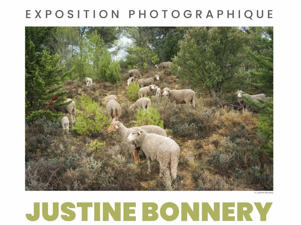 Illustration de l'événement : JUSTINE BONNERY "CHRONIQUES RURALES"