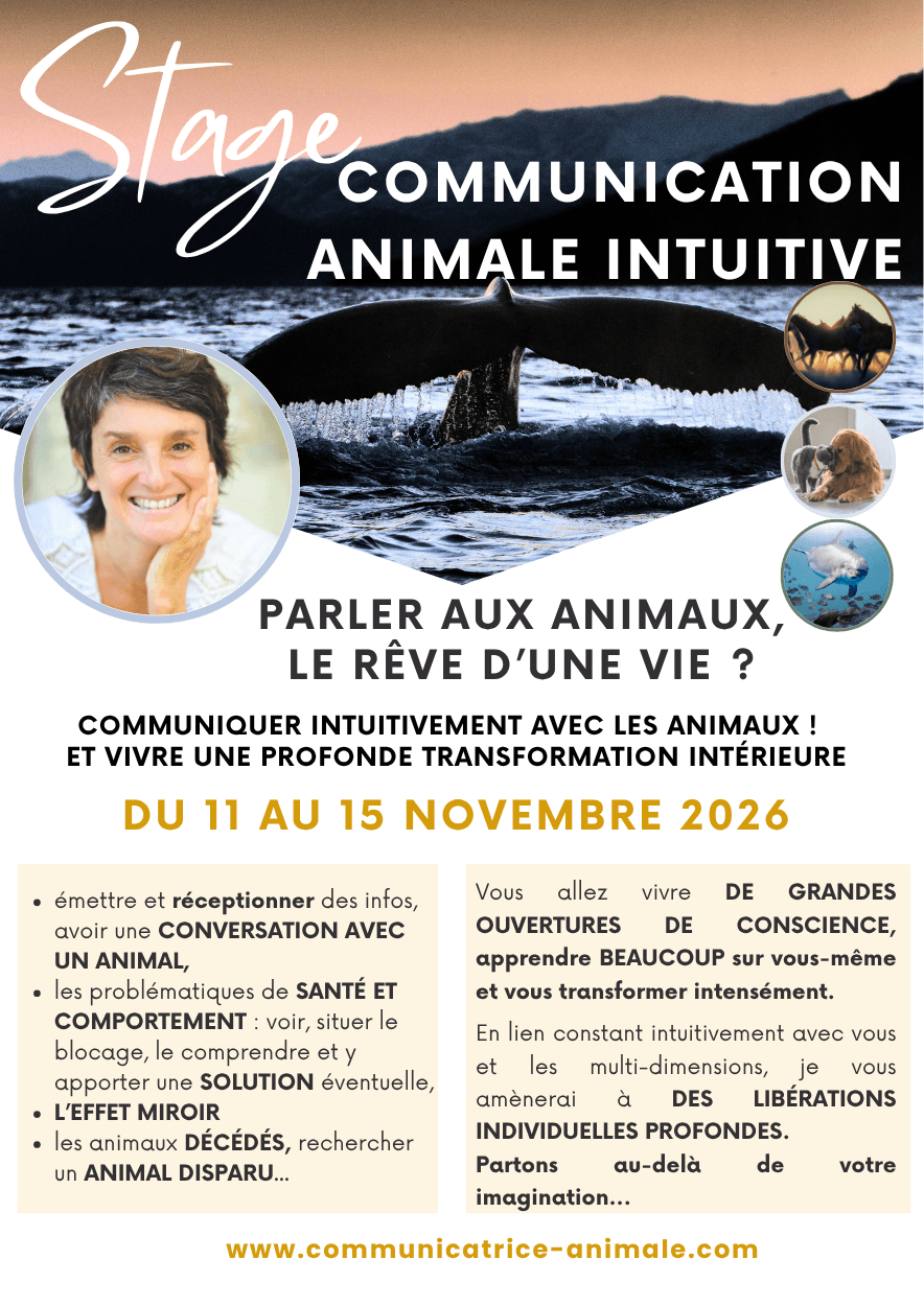 Illustration de l'événement : Formation en communication animale intuitive et transformation intérieure