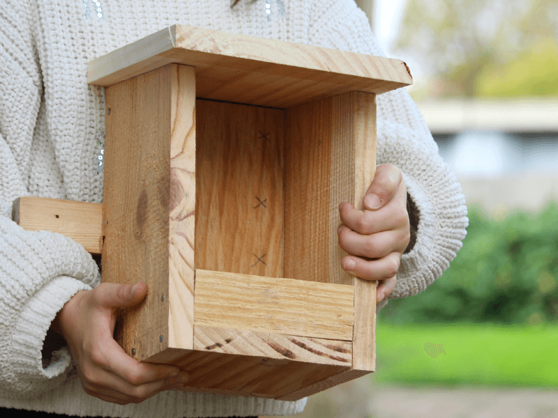 Illustration de l'événement : Construction d'une mangeoire à oiseaux à Terres d'oiseaux