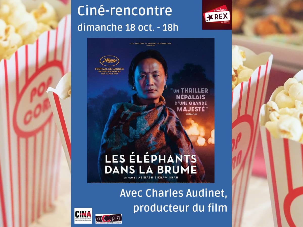 Illustration de l'événement : Ciné-rencontre : Les éléphants dans la brume
