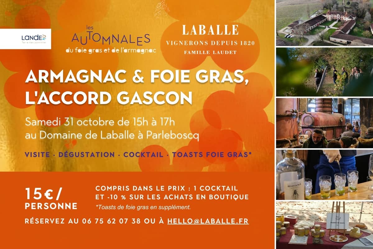 Illustration de l'événement : Immersion Armagnac : visite, dégustation et cocktail