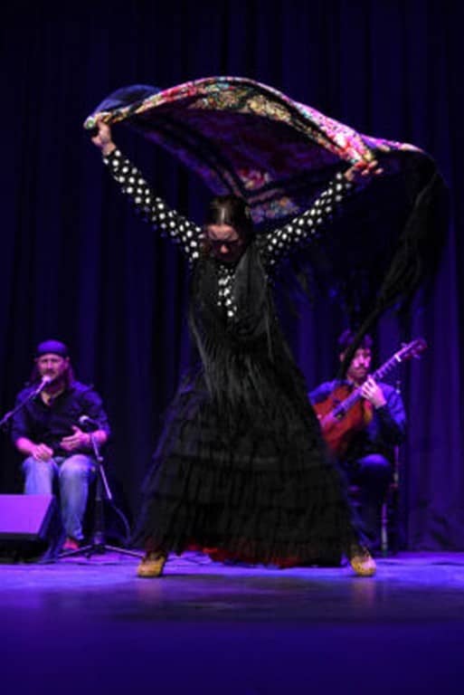 Illustration de l'événement : Flamenco en resistencia