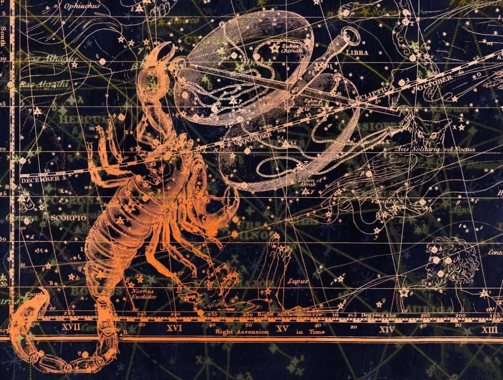 Illustration de l'événement : Atelier Astrologie : Présentation du Signe du Scorpion