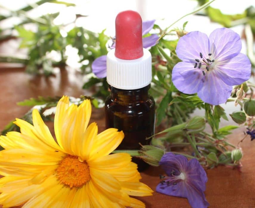 Illustration de l'événement : Atelier Élixirs Floraux & Vitalité