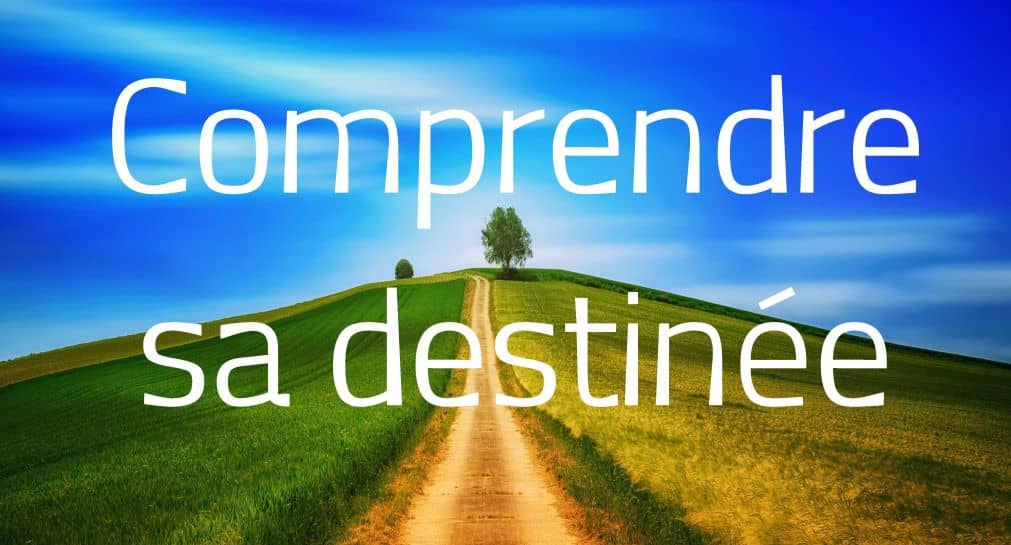 Illustration de l'événement : Atelier Numérologie : Comprendre sa destinée