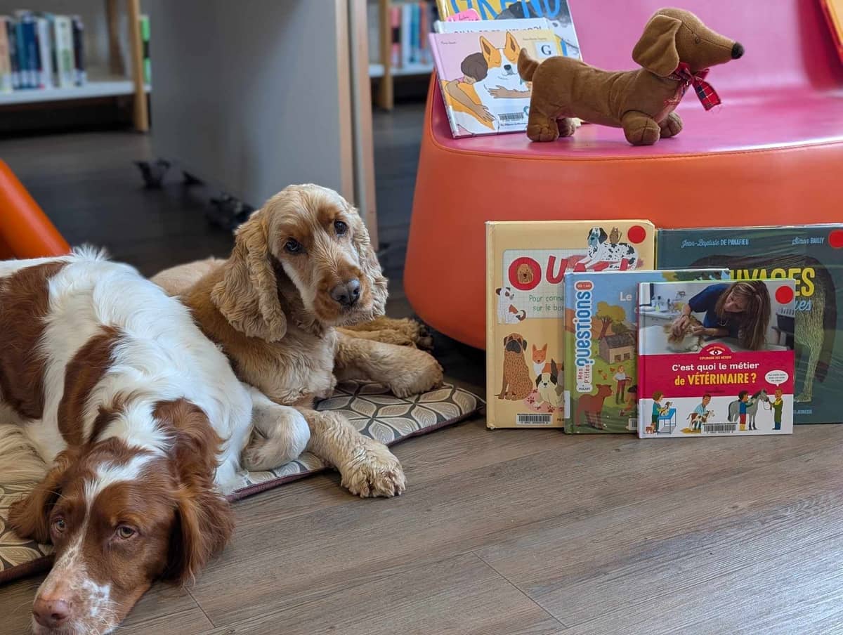 Illustration de l'événement : Lire avec les chiens