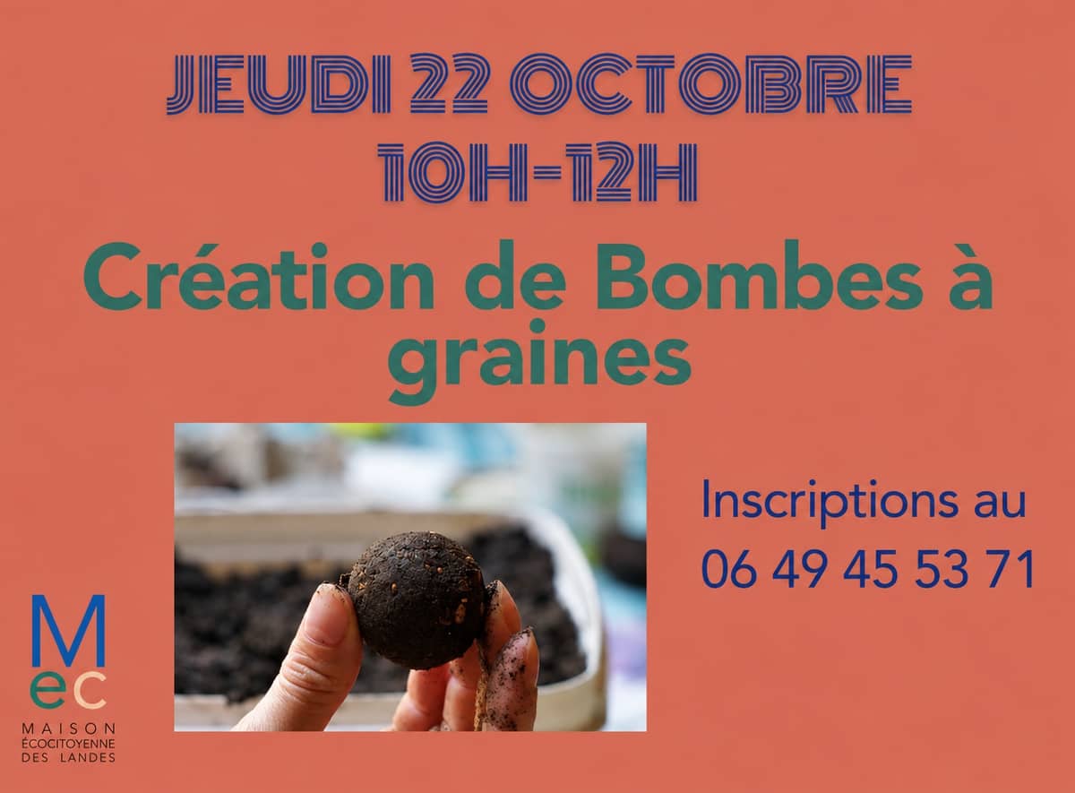 Illustration de l'événement : Création de bombes à graines