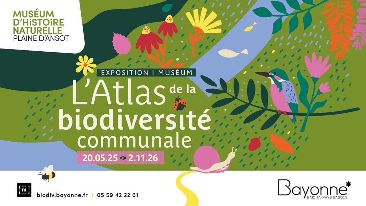 Illustration de l'événement : Exposition : L'atlas de la biodiversité communale