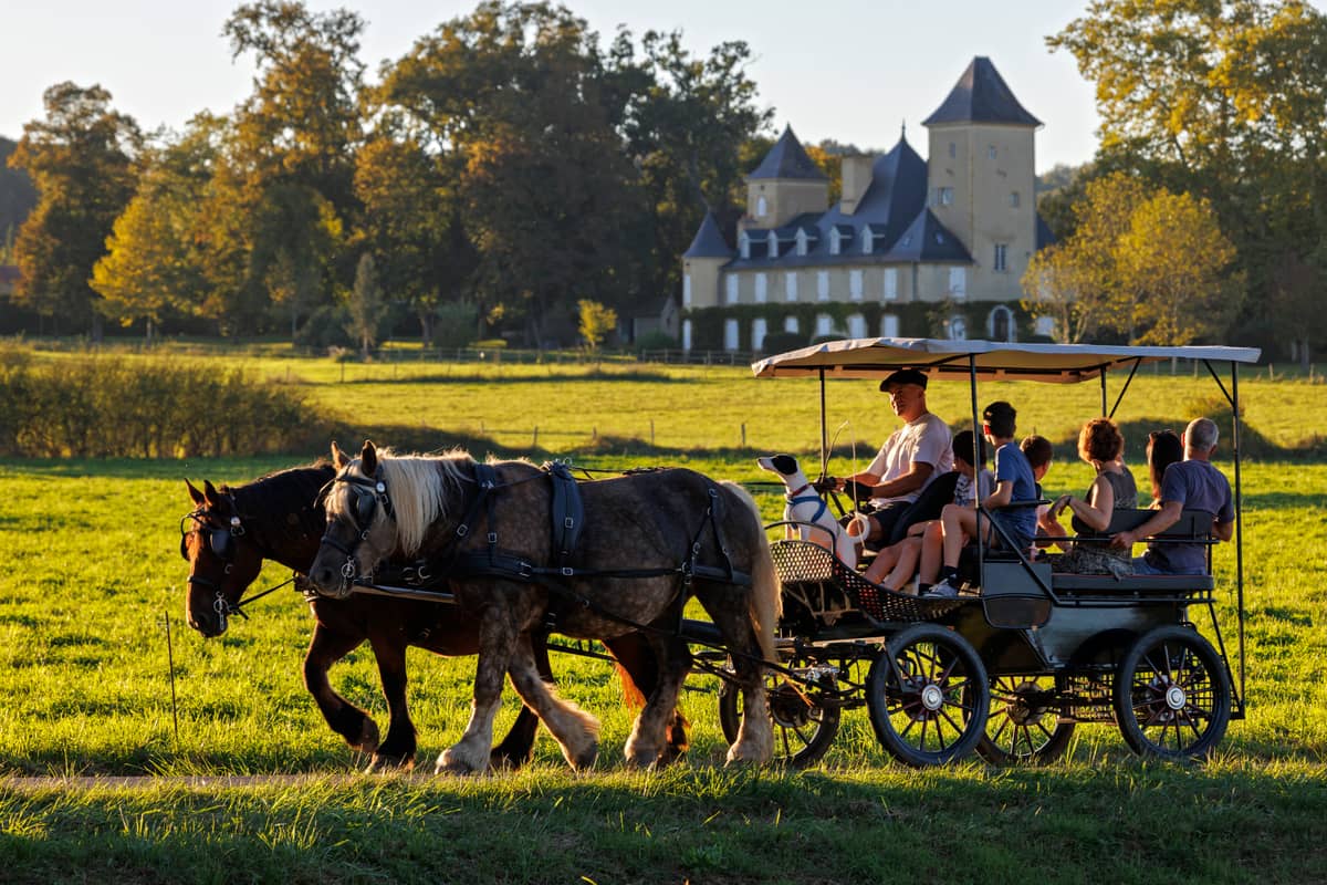 Illustration de l'événement : Journée à la ferme, à la Ferme au Bèth Loc