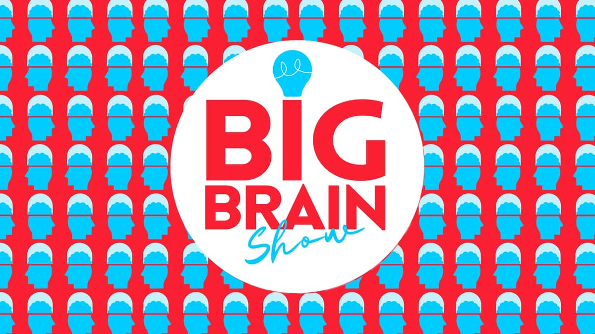 Illustration de l'événement : Big Brain Show #7 - Espace Noriac
