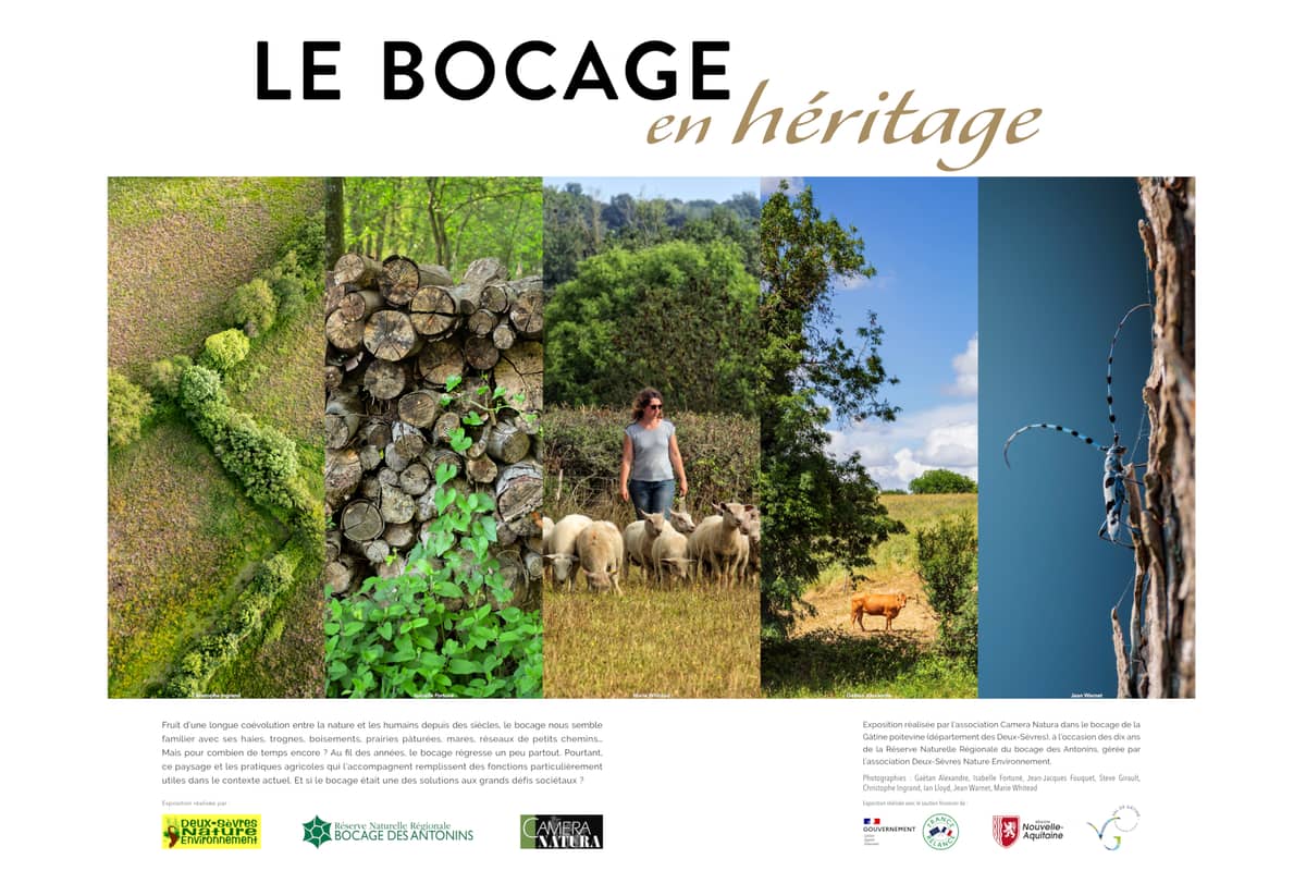 Illustration de l'événement : Exposition photos : "Le bocage en héritage"