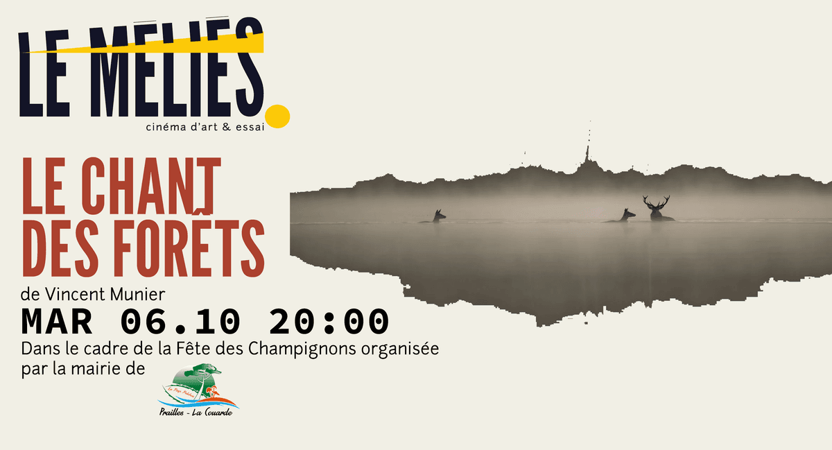 Illustration de l'événement : Projection pour la Fête des Champignons