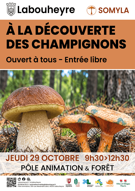 Illustration de l'événement : Atelier à la découverte des champignons