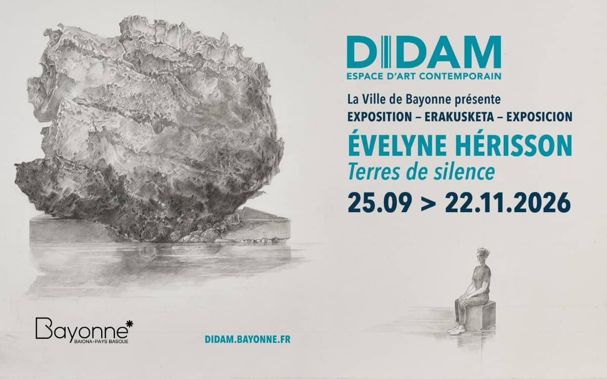 Illustration de l'événement : Exposition au DIDAM : Évelyne Hérisson "Terres de silence"