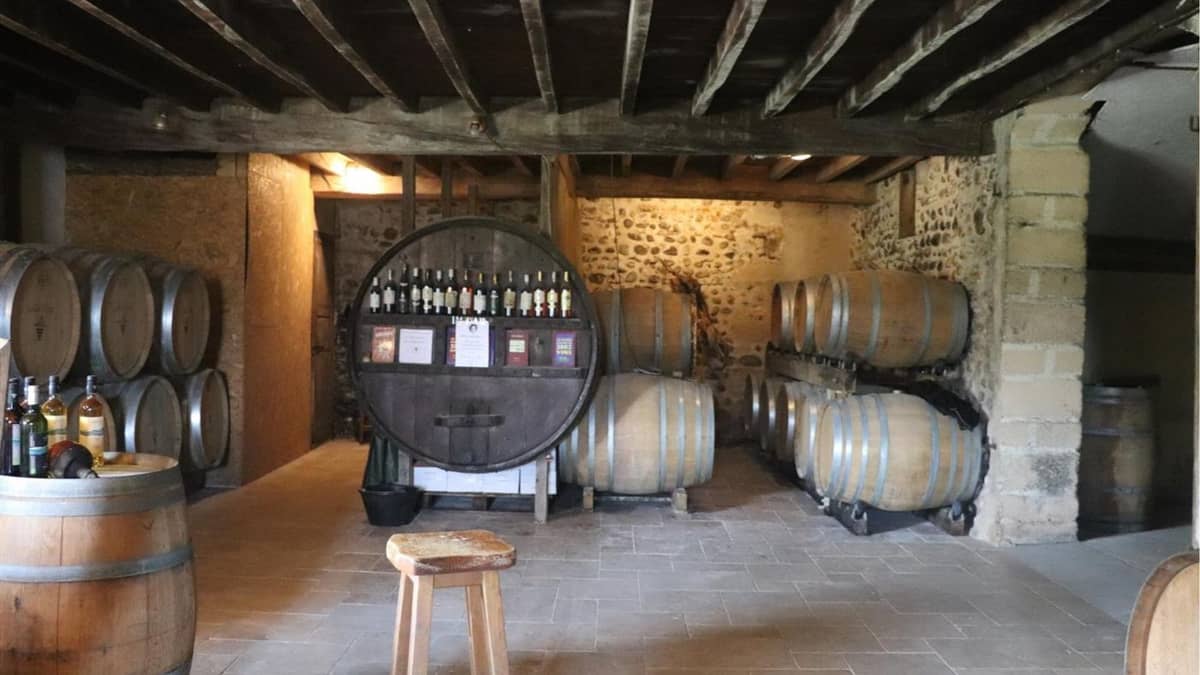 Illustration de l'événement : Vignobles en scène : Méchoui de fin de vendanges