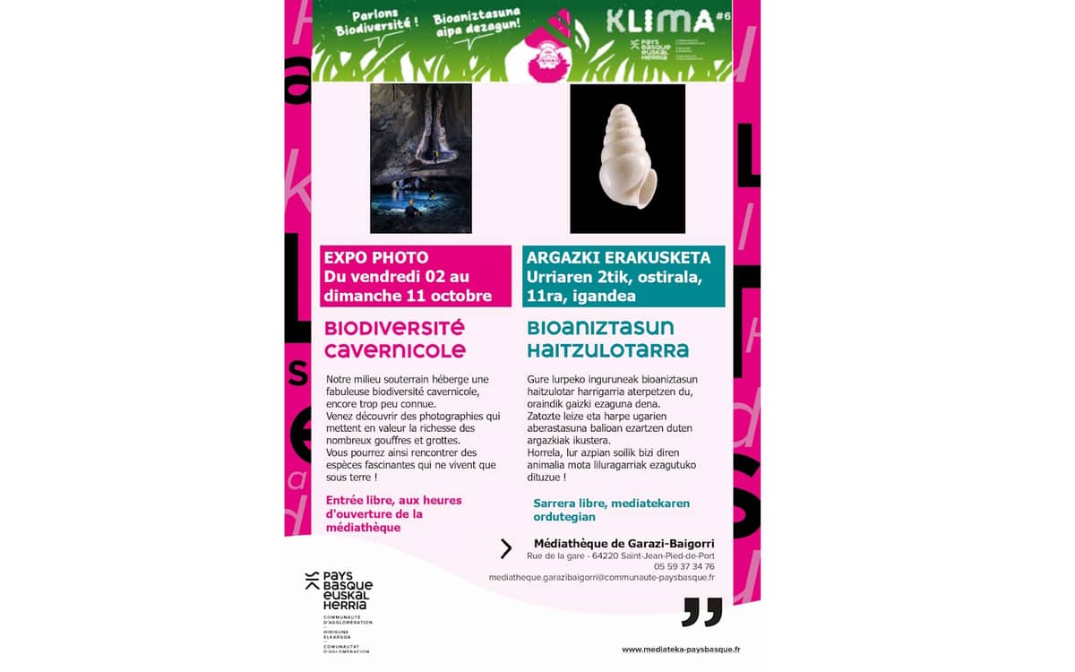 Illustration de l'événement : Exposition "Biodiversité Cavernicole"