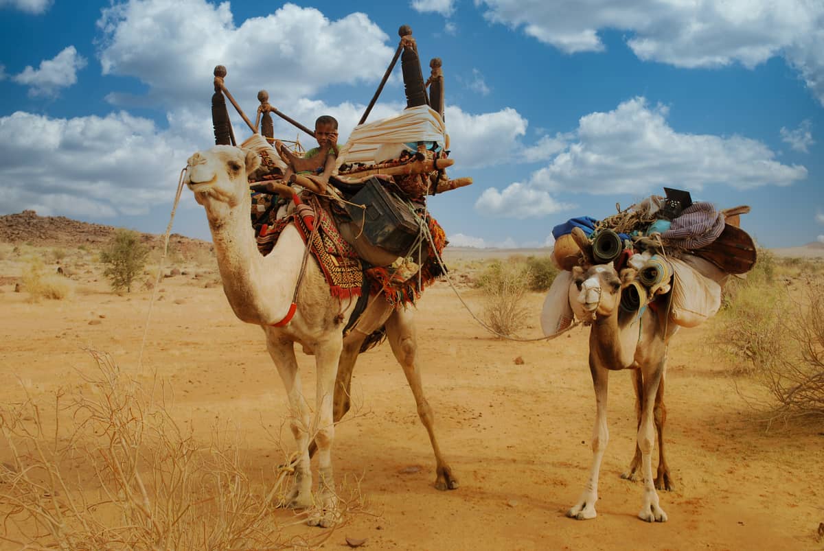 Illustration de l'événement : Exposition photo "Afrique Insolite"