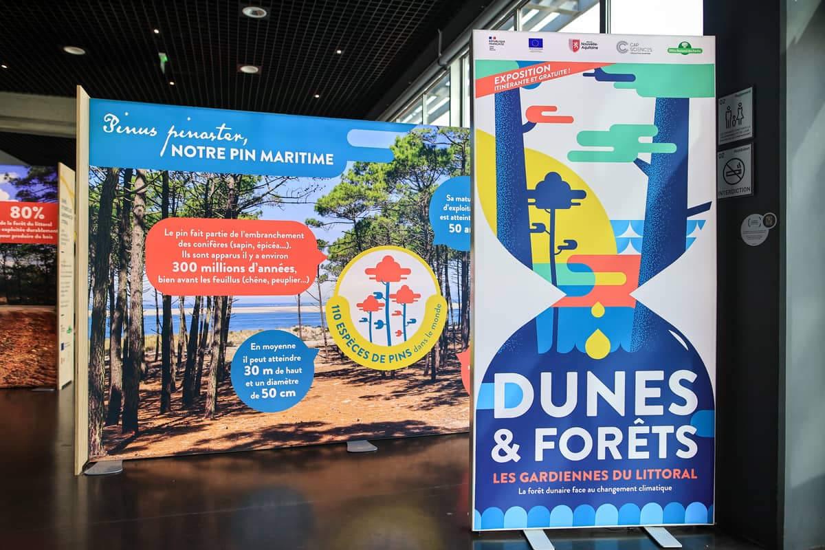 Illustration de l'événement : Exposition "Dunes et forêts, les gardiennes du littoral" - ONF, Cap Sciences, Région Nouvelle-Aquitaine