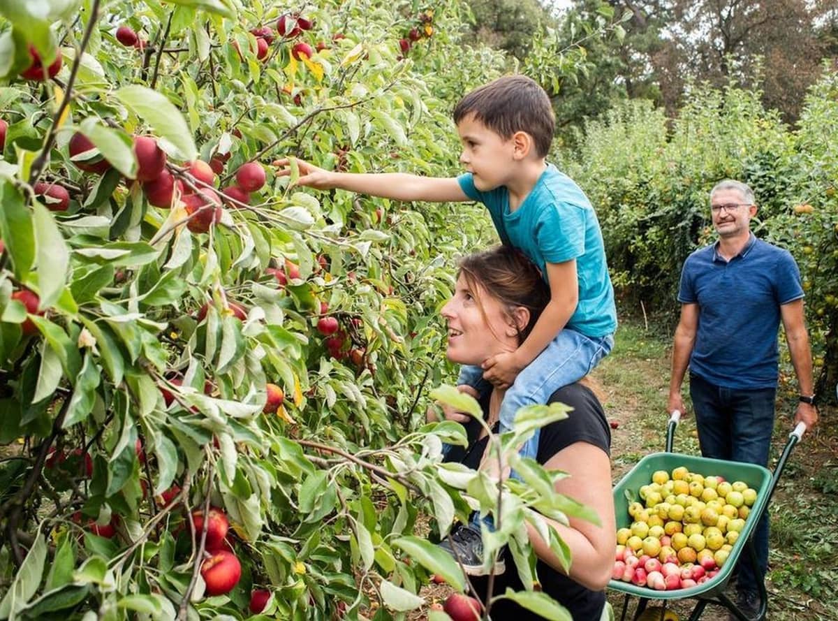 Illustration de l'événement : Fête de la pomme, à la Cueillette de l'Aragnon
