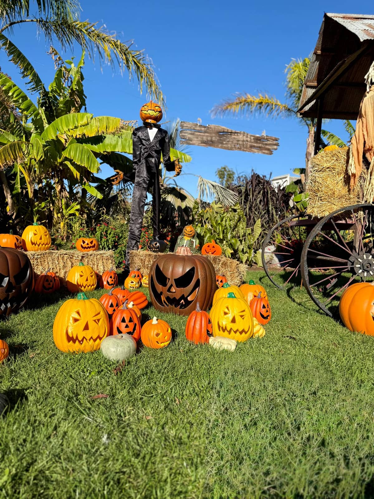 Illustration de l'événement : Halloween Biarritz