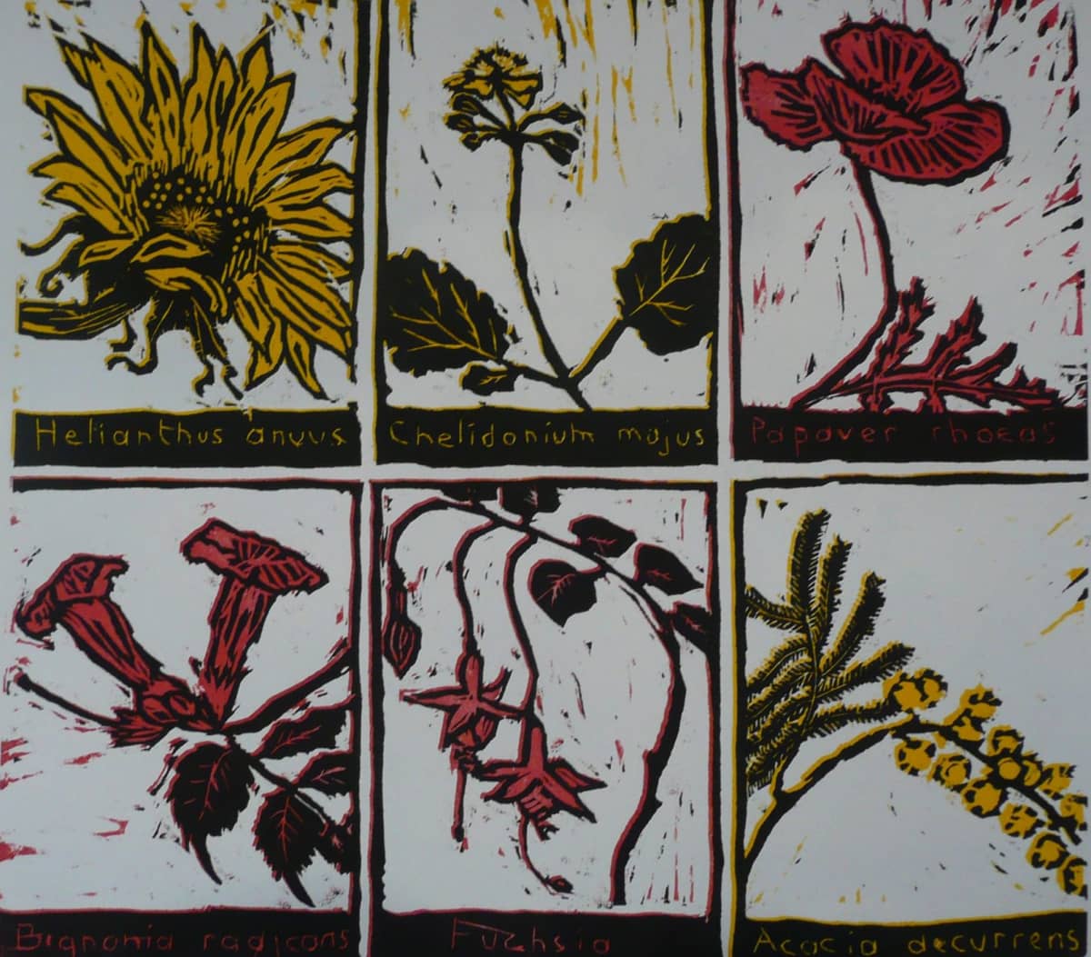 Illustration de l'événement : Initiation à la gravure sur lino ou bois - Stage de 6h