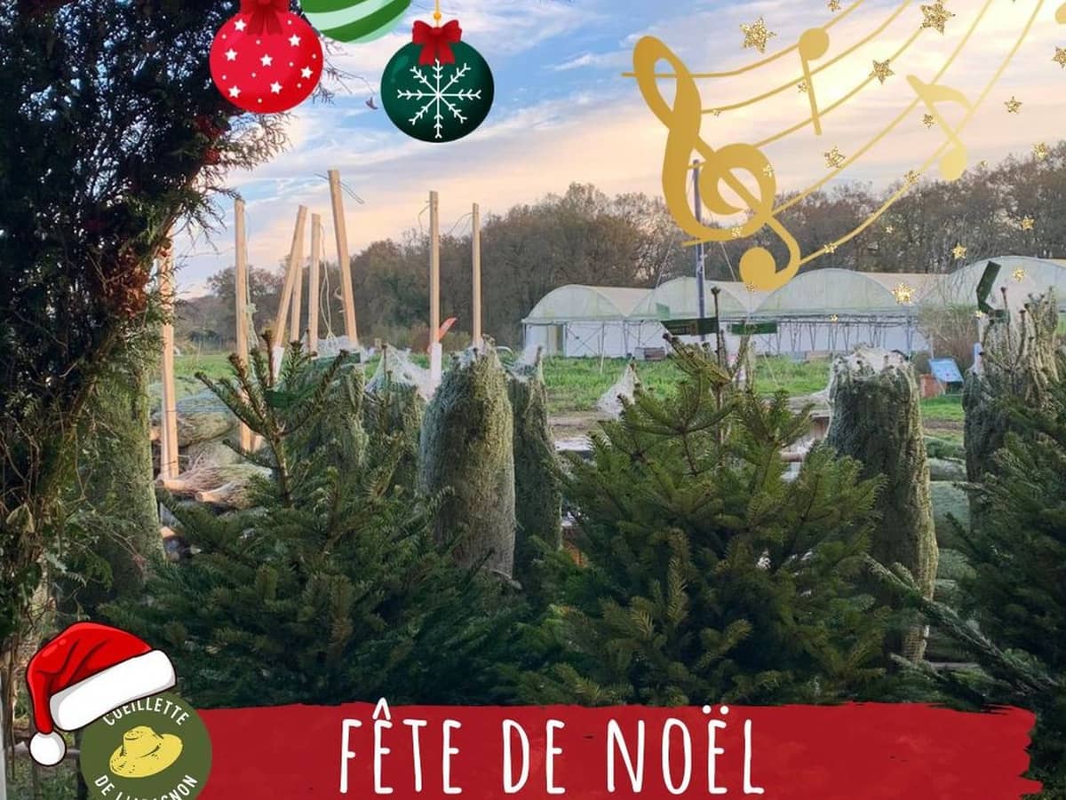 Illustration de l'événement : Marché de Noël, à la Cueillette de l'Aragnon